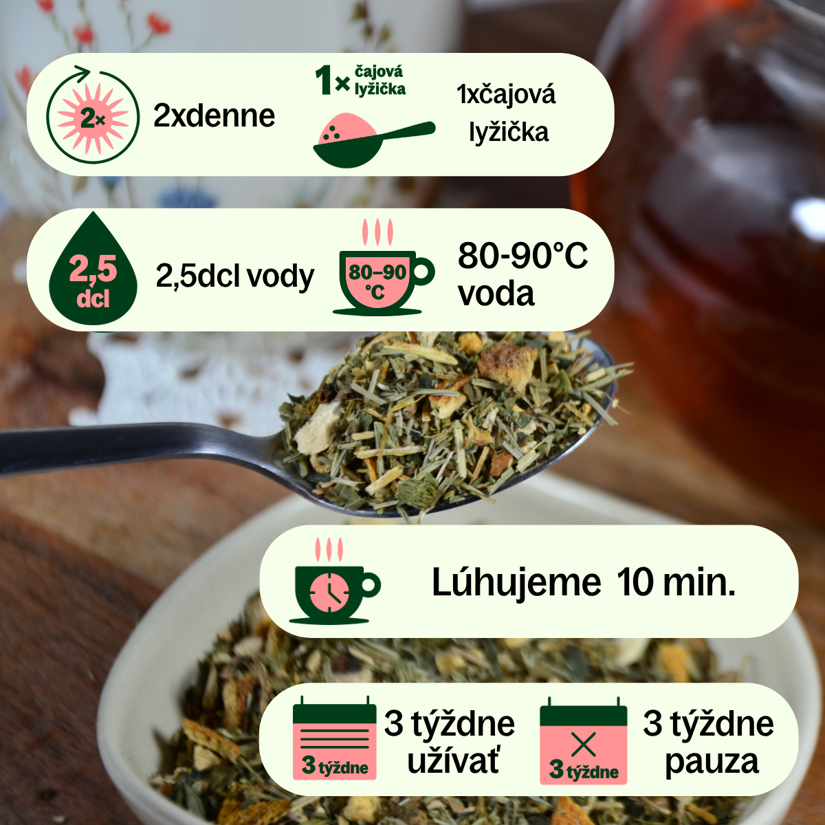KRVOTVORBA (2)